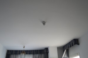 IMG_3912 IMG_3912