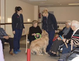 terapia con animales