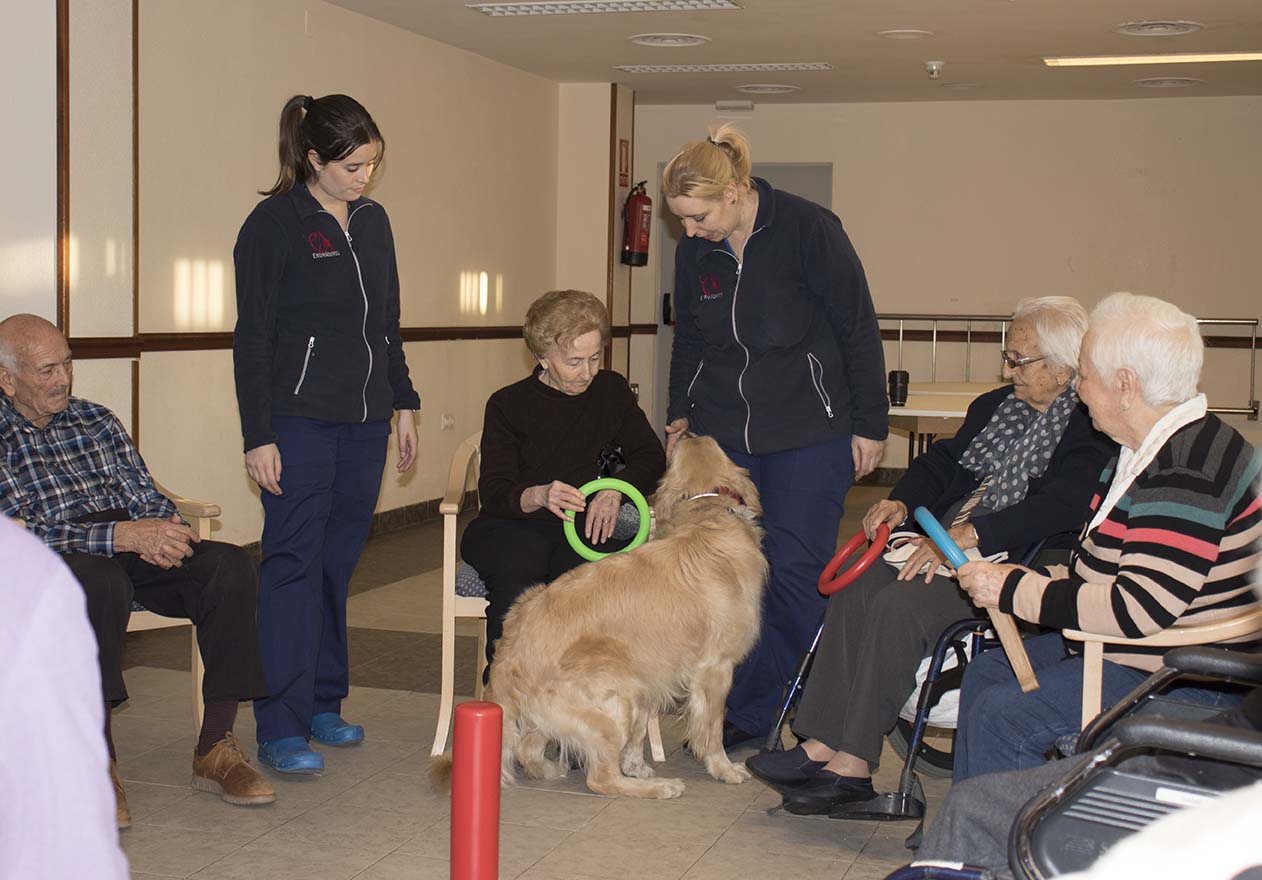 terapia con animales