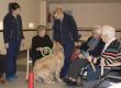 terapia con animales