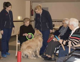 terapia con animales