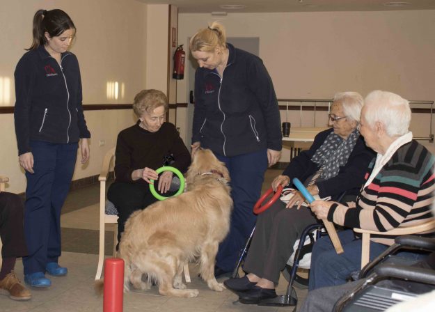 terapia con animales