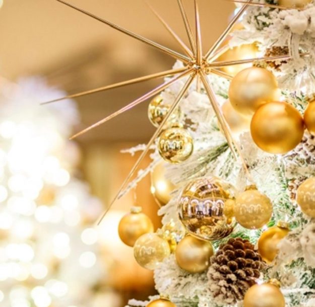 entrealamos navidad 2018