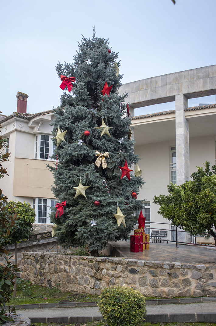 Pino Ext EA 2025 - 05