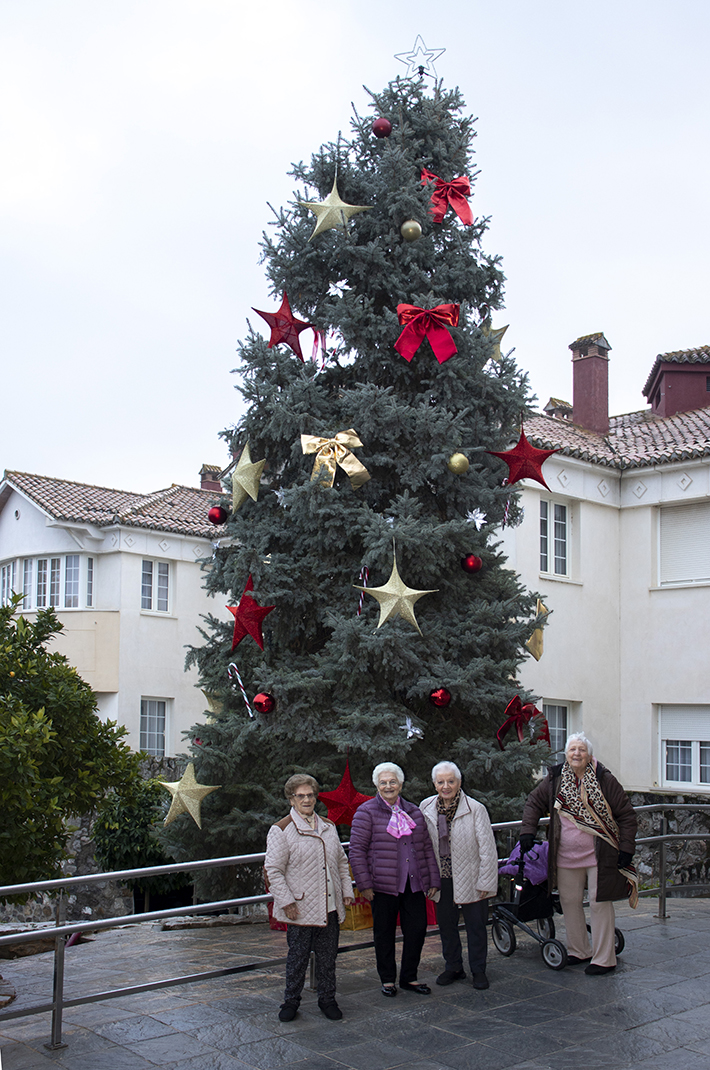 Pino Ext EA 2025 - 12